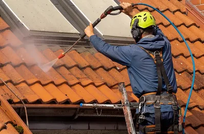 Démoussage et hydrofuge de toiture à Provin